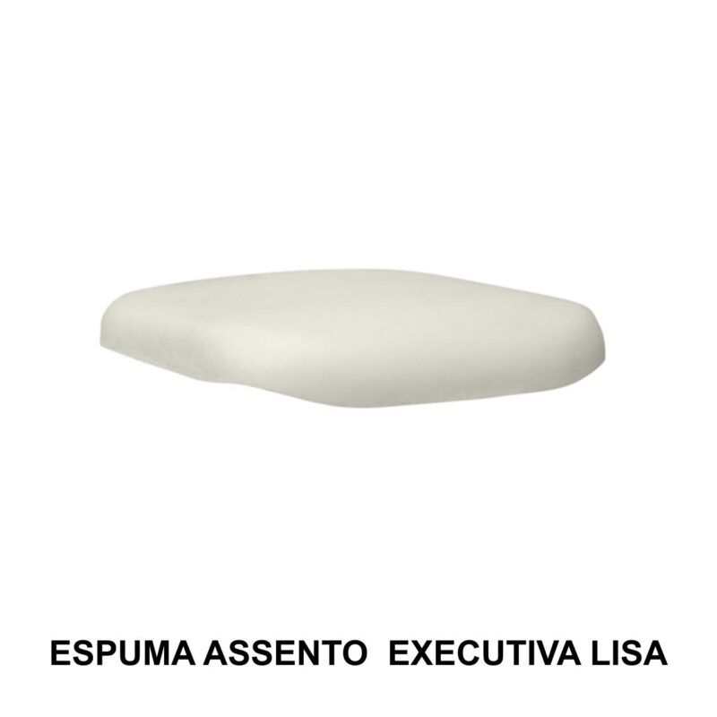 Outros Espuma ASSENTO Executiva LISA - AMERICANFER - 99902