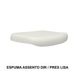 Outros Conjunto de Espuma ASSENTO / ENCOSTO Presidente Baixa LISA - 99210