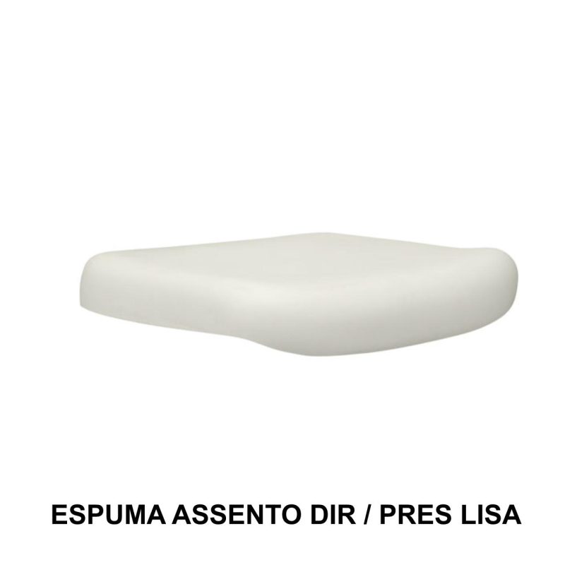 Outros Conjunto de Espuma ASSENTO / ENCOSTO Presidente Baixa LISA - 99210