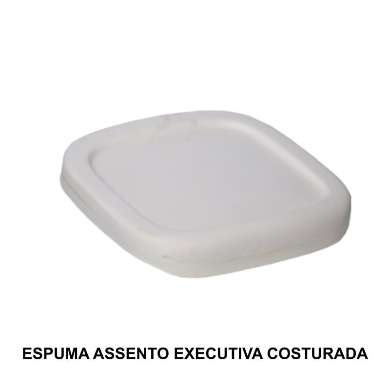 Outros Espuma ASSENTO Executiva COSTURADA - 99211