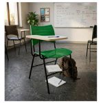 Cadeira Universitária Plástica Prancheta MDF - COR VERDE - MRPLAST - 34012