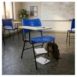 Cadeira Universitária Plástica Prancheta MDF - COR AZUL - MRPLAST - 34013