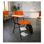 Cadeira Universitária Plástica Prancheta MDF - COR LARANJA - MRPLAST - 34009