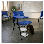 Cadeira Universitária Plástica Prancheta PLÁSTICA - COR AZUL - 54013