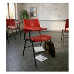 Cadeira Universitária Plástica Prancheta PLÁSTICA - COR VERMELHO - 54012