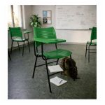 Cadeira Universitária Plástica Prancheta PLÁSTICA - COR VERDE - 54112