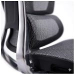 Cadeiras Escritório Cadeira Presidente Giratória com Apoio de Cabeça APEX - Linha Premium - 30073